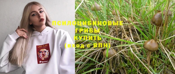 apvp Верхний Тагил