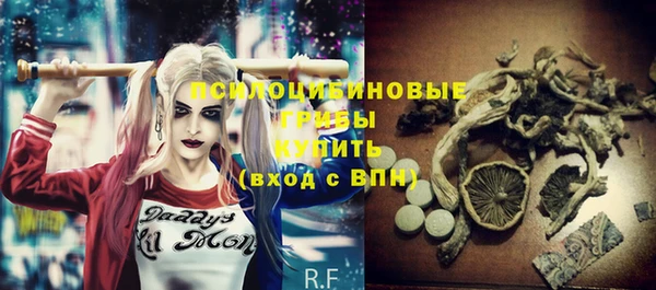 apvp Верхний Тагил